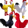 poulets de fantaisie