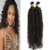Dark Brown Brazilian Curly Hair Natural Color U Tip Human Hair Extension 100g kinky curly pre bonded fusion human hair extensions