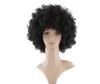 14 inch kinky curly wig