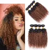 Kinky Curly 1B30 Human Hair Weave 4 Bundles With Color Malaysian Brazilian Peruvian Virgin Human Hair Bundles Ombre Auburn 4PcsL5580506