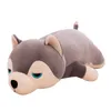 Dorimyrader Nova Peluches Animal Macio Brinquedo de Pelúcia Husky Big Stuffed Dos Desenhos Animados Cão Deitado Boneca Anime Travesseiro Decoração de Presente 31 polegadas 80 cm DY50157