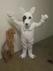 Högkvalitativa riktiga bilder Dalmatian Hund Mascot Kostym Fancy Carnival Kostym Vuxen Storlek Fabriks Direkt Gratis frakt