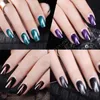 Rosalind Gel 30 Farben Magnet-Gel-Lack 7 ml schwarze Flasche 3D Cat Eyes Magnet LED UV Soak-off Semi-Permanent Gel-Nagellack