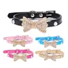 Leuke gepersonaliseerde designer hondenleren huisdierencollars plus verzorgingsservice bijpassende kraagriem harnas set kam puppy harnas