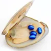Ostriche di perle naturali d'acqua dolce 6-8mm4 # 9 perle blu dello stesso colore in ostriche triangolari in confezione sottovuoto