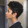 New Short Cut Kinky Curly Wig Brazilian Hair African Ameri Simulation Human Hair Black Kinky Curl Wig