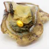 ＃7（黄色）6-8mm akoya oyster oval pearl oyster wholesale、カスタマイズ可能な染色パール