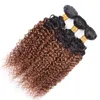 Kinky Curly 1B30 HUND HAIR WEAVE 컬러 Malaysian Brazilian Peruvian Virgin Human Hair Bundles Ombre Auburn 4pcsl5580506