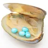 Austern aus natürlichen Süßwasserperlen, 6–8 mm, 4 Stück, Nr. 3, himmelblau, in dreieckiger Austern-Vakuumverpackung, Überraschungsgeschenk für die Familie