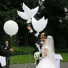 Ballons de colombe blancs biodégradables gonflables à l'hélium pour la décoration de fête de faveur de mariage ballons bio livraison gratuite LX3350