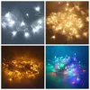 ny bra bra 10M 100leds LED String Light Transparent Wire 110V Bröllopsfest Fairy Xmas Lamp