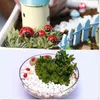 Fairy Garden Decoration Insect Självhäftande Nyckelpigor Miniatyr Växtkrukor Bonsai Craft Djur Micro Landscape DIY Decor Mini Ladybug