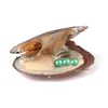 Natural 27mix Farbe Süßwasserrund -Tripletts Perlen Auster Lose Perlen kultivierte frische Austern Perlen Muschel Farm Angebot Dropshipping Dropshipping
