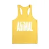 Animal Stringers Mens Canotte Camicia senza maniche, canotte Bodybuilding e Fitness Canottiere da uomo Abbigliamento da allenamento