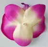 200 pz 7 cm alta simulazione pianta mini farfalla orchidea testa di orchidea sposa decorazione di nozze fai da te fiore disposizione fiore fiore fiore fiore