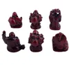 6 Kleine Boeddha-beeldjes Feng Shui Resin Rosewood