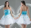 Plus Size Prom Jurken Korte Witte Blauwe Cocktail met Applicaties Sweetheart Hals Hart boven Knielengte Party Jurken DH376