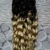 Mongolian Kinky Curly Hair Micro Ring Hair Extensions 1b / 613 Ombre Curly 100g Micro Loop Hårförlängningar Dubbeldragen 10 "-26"