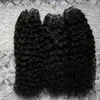 Vente en gros Virgin Mongol Afro Kinky Curly 300s Appliquer des cheveux naturels Micro Link Extensions de cheveux 300g Micro Loop Extensions de cheveux humains