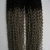 Ombre灰色の髪織り1b /灰色のブラジルの変態な巻き毛織り束2個の片毛のレミーの髪織り束