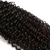 Malaio Virgem Do Cabelo Humano Kinky Curly Onda Não Transformados Remy Do Cabelo Tece Duplo Wefts 100g / Bundle 1 pacote Pode ser Tingido Branqueada