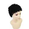 Perruques courtes bouclées pour femmes noires pas cher pleine dentelle brésilienne coupe de lutin indien cheveux humains 100 perruques de cheveux humains nouvelles wigs6118474