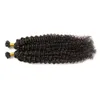 다크 브라운 브라질 곱슬 머리 자연 색 U 팁 인간의 머리카락 확장 100g 변태 곱슬 사전 결합 된 융합 인간의 머리카락 확장