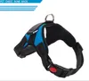 Chien harnais laisse nylon réglable animaux de compagnie grand colliers de chien de haute qualité fournisseur d'animaux poitrine dos gilet chien laisse harnais