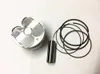 Piston kit for Benelli BN TNT 300 302 600 Keeway RKX 300 RK6 STELS 300 600 BN600GT TNT600GT STELS600GT / BN600 TNT600 BN302