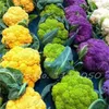 Free Shipping 50 Pcs Snowy Cauliflower Seeds Vegetable Non Hybrid Broccoli Seeds Green Health Vegetables For Home Garden