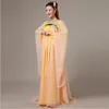 Ny Hot Fashion Classical Dance Dress Ancient Chinese Elegant Kostym Kläder Fairy Tang Suit Hanfu Etniska Kläder Chiffon Klänningar