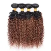 곱슬 머리 곱슬 1B / 30 인간의 머리카락 직물 4 번들 색상 말레이시아 브라질 페루 버진 인간의 머리카락 옹 브르 적갈색 4pcs / Lot
