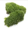 1pcs Green Artificial Fake Moss Coral Stone Model Grass Plant Potted Micro Landscape Fairy Garden Aquarium Ornament Decoration182H