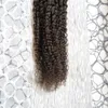 Microolian Kinky Curly Virgin Hair 100g Micro Bead Extensions Extension per capelli Micro Anello 100s Afro Kinky Riccio Micro Loop Capelli Estensioni 1G