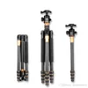 QZSD Q999C Bärbar Avtagbar Bytbar Travel Tripod Monopod Carbon Fiber Ball Head for SLR Camera DSLR Videokamera Gratis frakt