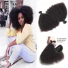 1 Bundle/działka mongolska afro perwersyjne krzymały dziewicze ludzkie włosy Unforted Remy Hair Wevves Podwójne wątki 100 g/pakiet włosy wątki