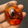 KiWarm Hot Sale 5*4cm Beautiful Amber Butterfly Insects Stone Pendant Necklace Gemstone for DIY Jewellery Pendant Crafts