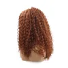 Syntetiska peruker Lång Afro Kinky Curly Hair Wig Mörkbrunt För Svart Kvinnor Afrikansk Frisyr Högtemperaturfiber