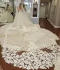 Amazing 5M One Layer Wedding Veils Lace Appliqued Long Cathedral Length Veils Custom Made Tulle Ivory Bridal Veil