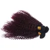 Schwarze und burgunderrote Ombre-Haarwebart, indisches Jungfrau-Haar, 3-teilig, verworrene lockige Haareinschlagverlängerungen # 1B/99J, Weinrot, Ombre-Menschenhaarwebart