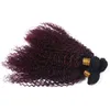 Peruvian vin röd ombre mänskliga hår väftförlängningar 4pcs kinky curly # 1b / 99j burgundy ombre jungfru mänskligt hår väv buntar mörk rot