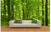아름다운 녹색 숲 숲 햇빛 그림 창 벽화 벽지 227L