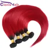 Haute qualité Coloré 1b Rouge Human Hair Extensions Silky Straight Malaysian Vierge Ombre Ombre Teins pas cher Deux Ton Ton Red Ombre Bundles Offres 3pcs