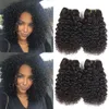 Brasilianska Virgin Hair 4 buntar Kort Kinky Curly Human Hair 9a Peruvian Malaysian Indian Curly Hair Weave Natural Color 50g / st Totalt 200g