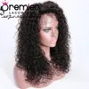 Premier Full Lace / Lace Front Human Hair Wig With Natural Hairline Pre-depened Indian Remy Hair 150% Density Loose Curly For American