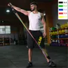 Bands Resistance Band Set 17Pcs Gym Strength Training Rubber Loops Band Workout Fintess Exercise Bands Door Anchor Ankle Strap