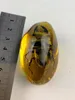 Rare Amber Beetle Amber Beetle Pendant0123456789105561143