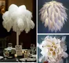 High quality beautiful ostrich feather 40-45cm/16-18 inches U pick Color Wedding centerpiece decor