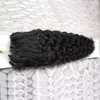 Micro Loop Nano Ring Hair Extensions 1GS 100G 100S KINKY CURLY HURM HIRGE FUSION REMY NARTORY HAIR