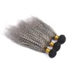 Fasci di tessuto per capelli umani Ombre grigio brasiliano riccio crespo 3 pezzi / lotto 1BS Argento grigio radice scura Ombre trama di capelli umani vergini Extensio9771818